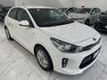 Kia Rio Rio IV 2017 1.2 mpi Evolution 84cv my18 Bianco - thumbnail 8