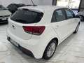 Kia Rio Rio IV 2017 1.2 mpi Evolution 84cv my18 Bianco - thumbnail 6