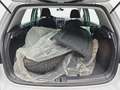 Volkswagen Golf GOLF VII 1.0 TSI DSG SOUND NAVI ACC APP-CONNECT SI Weiß - thumbnail 15