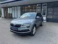 Skoda Karoq Style 4x4 Grau - thumbnail 1