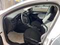 Ford Focus 1.0 ecoboost ST-Line Co-pilot s&s 125 CV Bianco - thumbnail 8