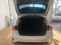 Ford Focus 1.0 ecoboost ST-Line Co-pilot s&s 125 CV Bianco - thumbnail 7