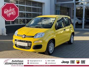 Pandina ICON Hybrid+Klima+PDC+Bluetooth Digitales
