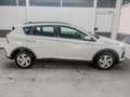 Hyundai BAYON LIFE DCT NAVI RFK TEMPOMAT 1.0 T-GDi DCT 66,2kW... Weiß - thumbnail 4