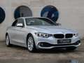 BMW 420 4-serie Cabrio 420i Executive | HARDTOP | NAVIGATI Grijs - thumbnail 11