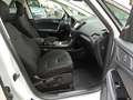 Ford S-Max 2.5 Duratec FHEV TITANIUM LED+Business-P. Blanc - thumbnail 20