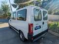 Citroen Jumper Furgón 2.8 HDi 33 LH Blanc - thumbnail 14