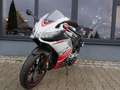 Aprilia RS 125 / Replica - mehrere Farben - Lager - thumbnail 14