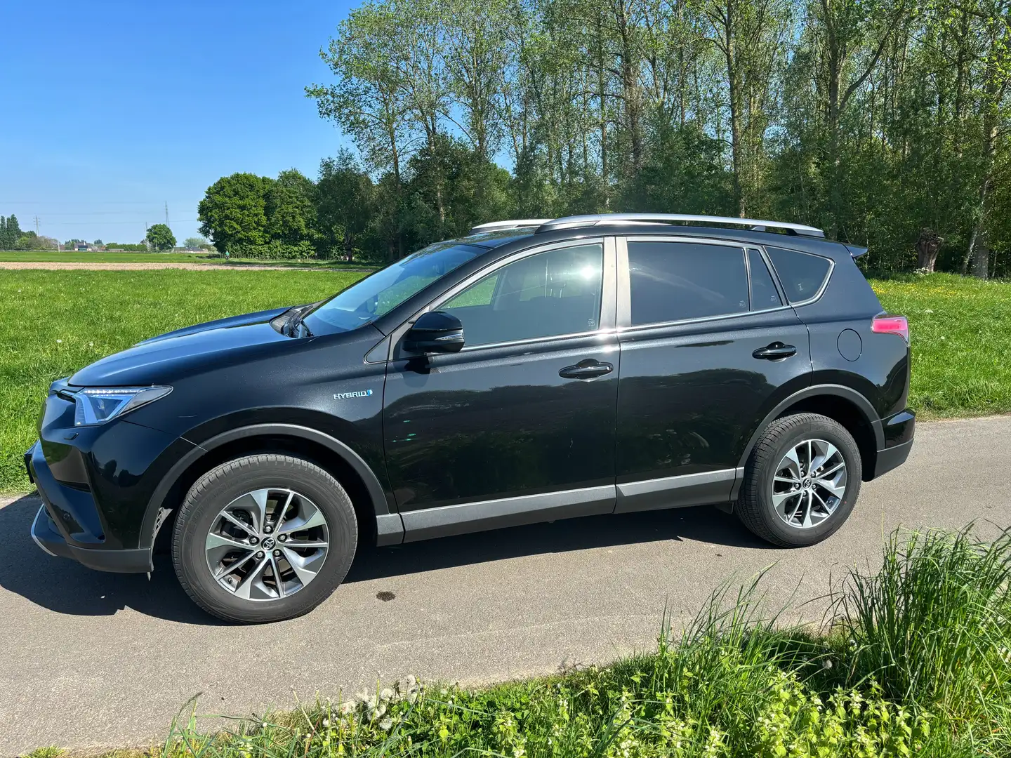 Toyota RAV 4 RAV 4 2.5 Hybrid Energy + Black - 2