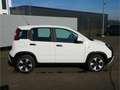 Fiat Panda CROSS CITY PLUS HYBRID 1.0 KLIMA 5-SITZER Fehér - thumbnail 3