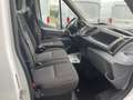 Ford Transit VAN 350 L2H2 TREND 130CV Bianco - thumbnail 10