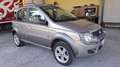 Fiat Panda Panda 4x4 1.3Mjt Cross Cross Oro - thumbnail 2