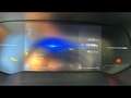 Renault Clio 1.0 TCe GPL Evolution Bianco - thumbnail 5
