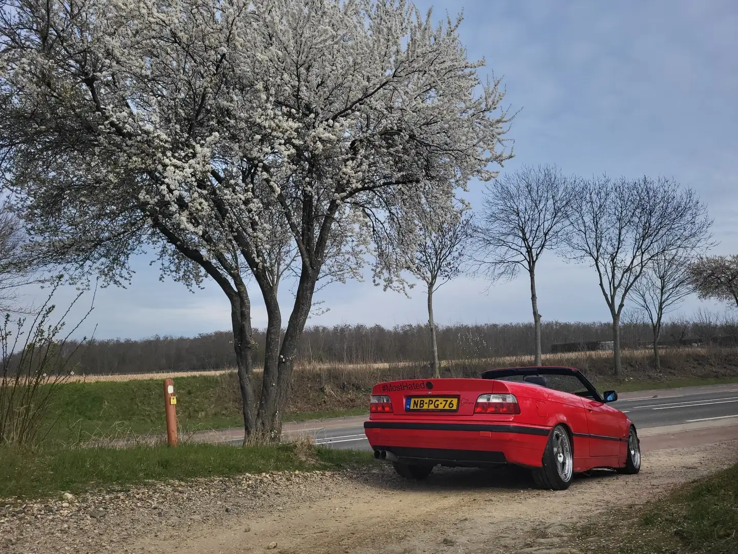 BMW 318 318i Kırmızı - 2