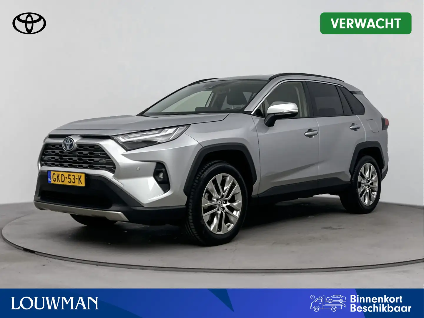Toyota RAV 4 2.5 Hybrid Executive Limited | Trekhaak | Navigati Gris - 1