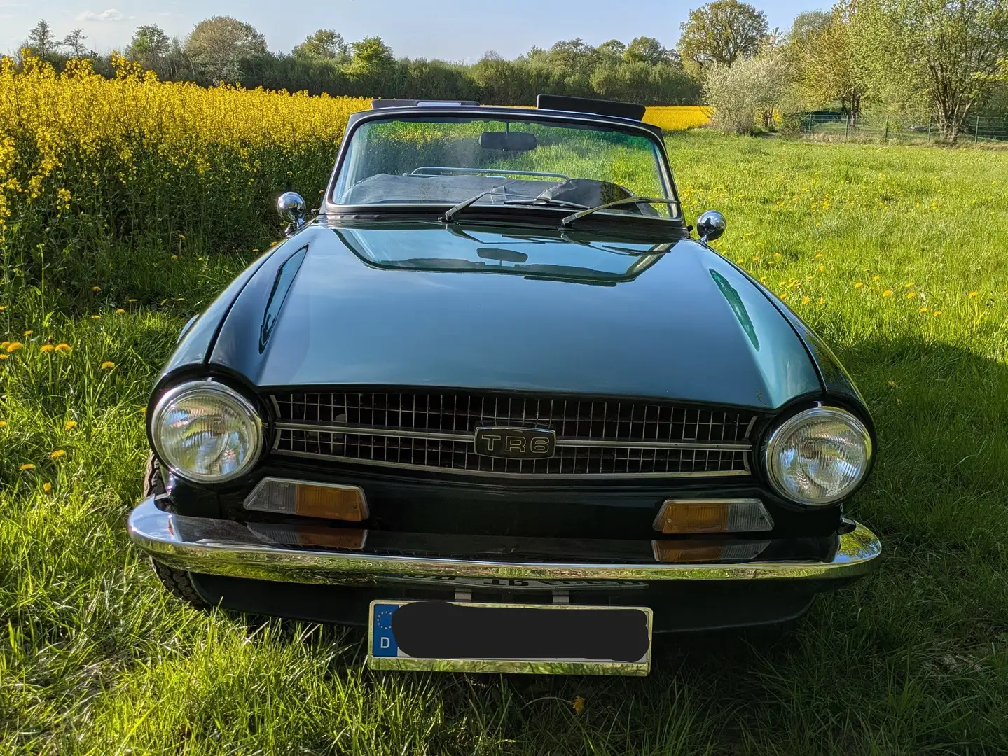 Triumph TR6 Grün - 2
