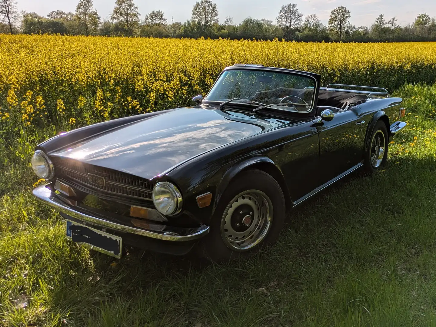 Triumph TR6 Grün - 1