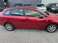SEAT Ibiza 1,6TDI Rot - thumbnail 3