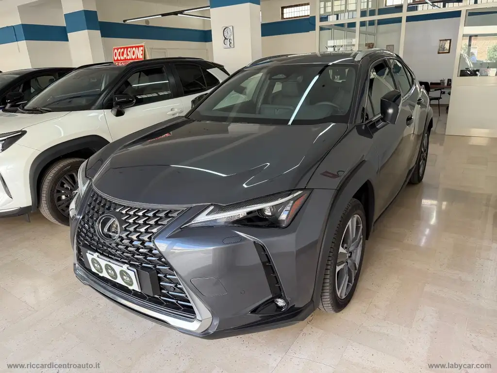 Lexus UX 300e 2024 из Европы — купить под ключ