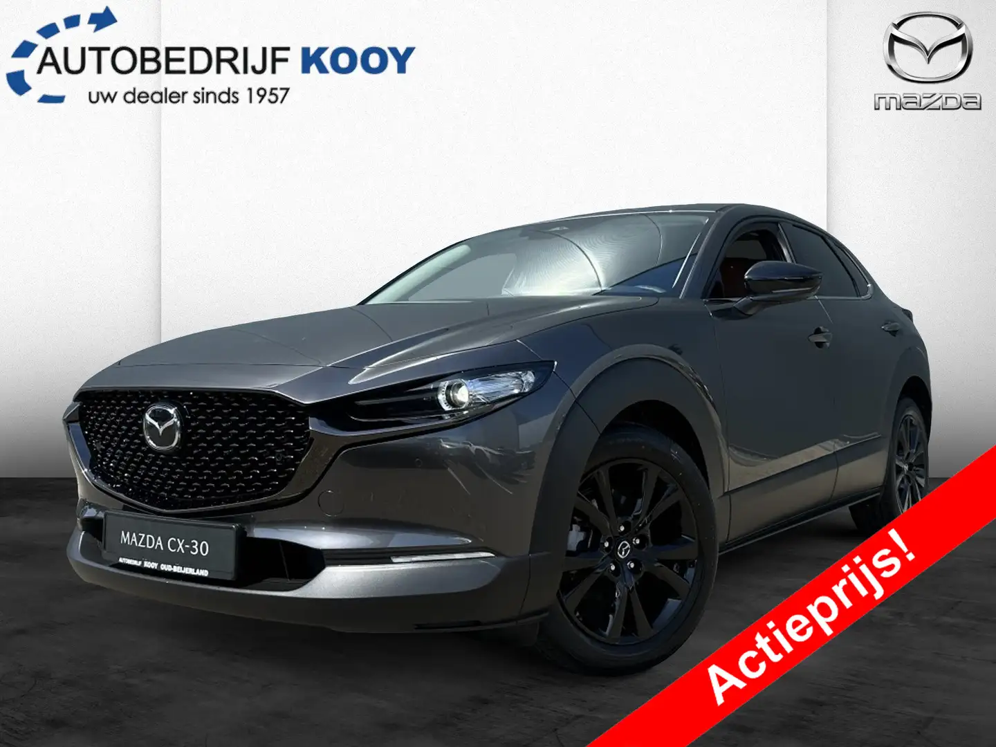 Mazda CX-30 2.5 140pk Nagisa / Automaat Grey - 1