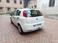 Fiat Grande Punto Grande Punto 5p 1.4 Actual Gpl 77cv Bianco - thumbnail 8