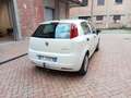 Fiat Grande Punto Grande Punto 5p 1.4 Actual Gpl 77cv Bianco - thumbnail 5