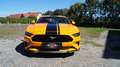Ford Mustang GT 5,0 Ti-VCT V8 Fastback FACELIFT, TOP ZUSTAND, UNFALLFREI, AB EUR 478,93 IM MONAT Orange - thumbnail 2