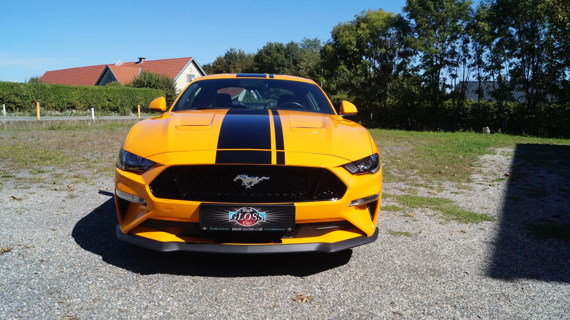 Ford Mustang GT 5,0 Ti-VCT V8 Fastback FACELIFT, TOP ZUSTAND, UNFALLFREI, AB EUR 478,93 IM MONAT Orange - 2