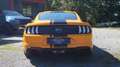 Ford Mustang GT 5,0 Ti-VCT V8 Fastback FACELIFT, TOP ZUSTAND, UNFALLFREI, AB EUR 478,93 IM MONAT Orange - thumbnail 6