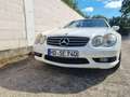 Mercedes-Benz SL 55 AMG Panorama-Dach Weiß - thumbnail 7