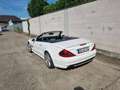 Mercedes-Benz SL 55 AMG Panorama-Dach Weiß - thumbnail 3