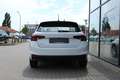 Skoda Fabia Active 1.0 LED+DAB+BLUETOOTH+SITZHZ+EPH+++ Weiß - thumbnail 6