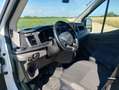 Ford Transit Transit 2T 310M L2 Trend 2.0TD Blanc - thumbnail 6
