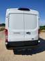 Ford Transit Transit 2T 310M L2 Trend 2.0TD Blanc - thumbnail 4