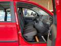 Fiat Panda 1.2 8V Trekking 4X4 *ABS*ALLRAD*ZENTRALVER Rot - thumbnail 42