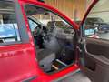 Fiat Panda 1.2 8V Trekking 4X4 *ABS*ALLRAD*ZENTRALVER Rot - thumbnail 41