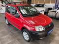 Fiat Panda 1.2 8V Trekking 4X4 *ABS*ALLRAD*ZENTRALVER Rot - thumbnail 20