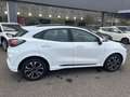 Ford Puma 1.0 ecoboost h ST-line con PROMO SPECIALE DENICAR Bianco - thumbnail 4