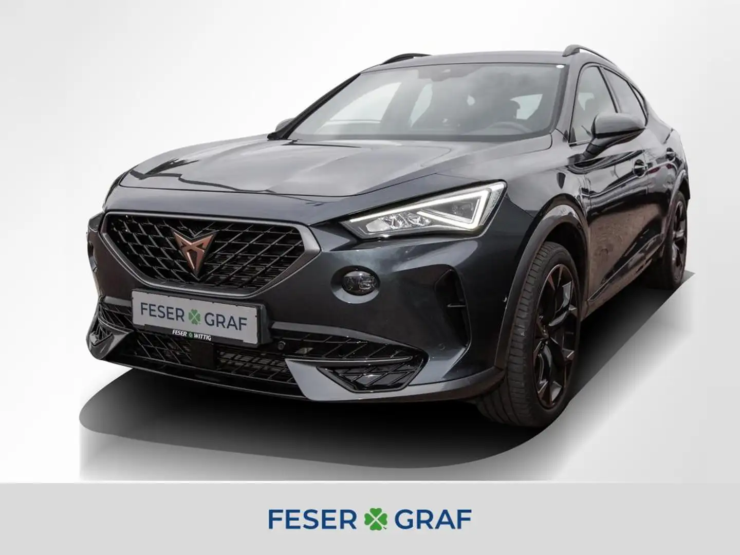 CUPRA Formentor VZ 2.0 TSI DSG LED/Navi/Beats/ele.Sitz Grau - 1