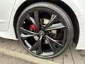Audi RS7 Performance+SPORTABGA+WINTERRÄDER Alb - thumbnail 6