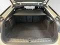 BMW X6 xDrive30d M Sport Pro|AHK|Standhzg.|22"LMR|H/K Weiß - thumbnail 15
