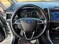 Ford S-Max S-MAX Titanium 2.0 EcoBlue SCR Aut. Silber - thumbnail 16