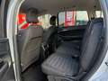 Ford S-Max S-MAX Titanium 2.0 EcoBlue SCR Aut. Silber - thumbnail 9