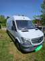 Mercedes-Benz Sprinter Sprinter 316 CDI HD 3,5t / 4.325 mm / Ehrliches Auto, Top Ausstattung Service und Pickerl neu. Weiß - thumbnail 3