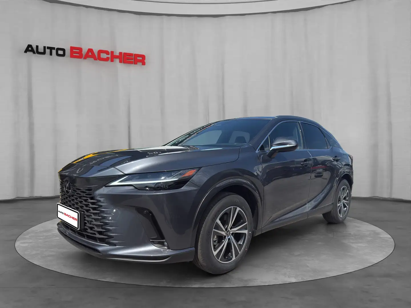Lexus RX 350h Business Line 250 PS Allrad Grijs - 1