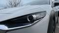 Mazda CX-30 2024 2.0 e-SKYACTIV-G MHEV 150CV 6MT FWD HOMURA Weiß - thumbnail 17