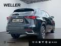 Lexus NX 300h E-FOUR Luxury Line *HUD*360°MarkLevinson*el Heck* Schwarz - thumbnail 18