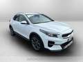Kia XCeed 1.0 t-gdi high tech adas pack gpl 117cv Blanc - thumbnail 3