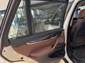 BMW X5 X5 F15 xdrive25d Luxury 231cv auto Bianco - thumbnail 12