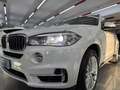 BMW X5 X5 F15 xdrive25d Luxury 231cv auto Bianco - thumbnail 7